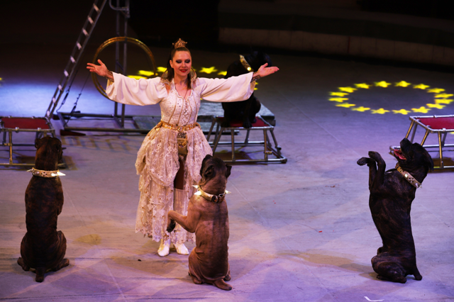 image2.png image2.png